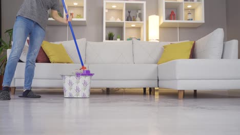 el trabajo doméstico. la mujer está limpiando la casa.