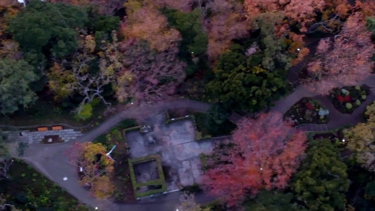 황혼에 다채로운 가을 공원, 오렌지색과 빨간색 색조의 잎, 공중 전망