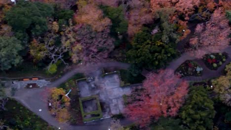 Ein-Farbenfroher-Herbstpark-In-Der-Abenddämmerung,-Blätter-In-Orange--Und-Rottönen,-Luftaufnahme