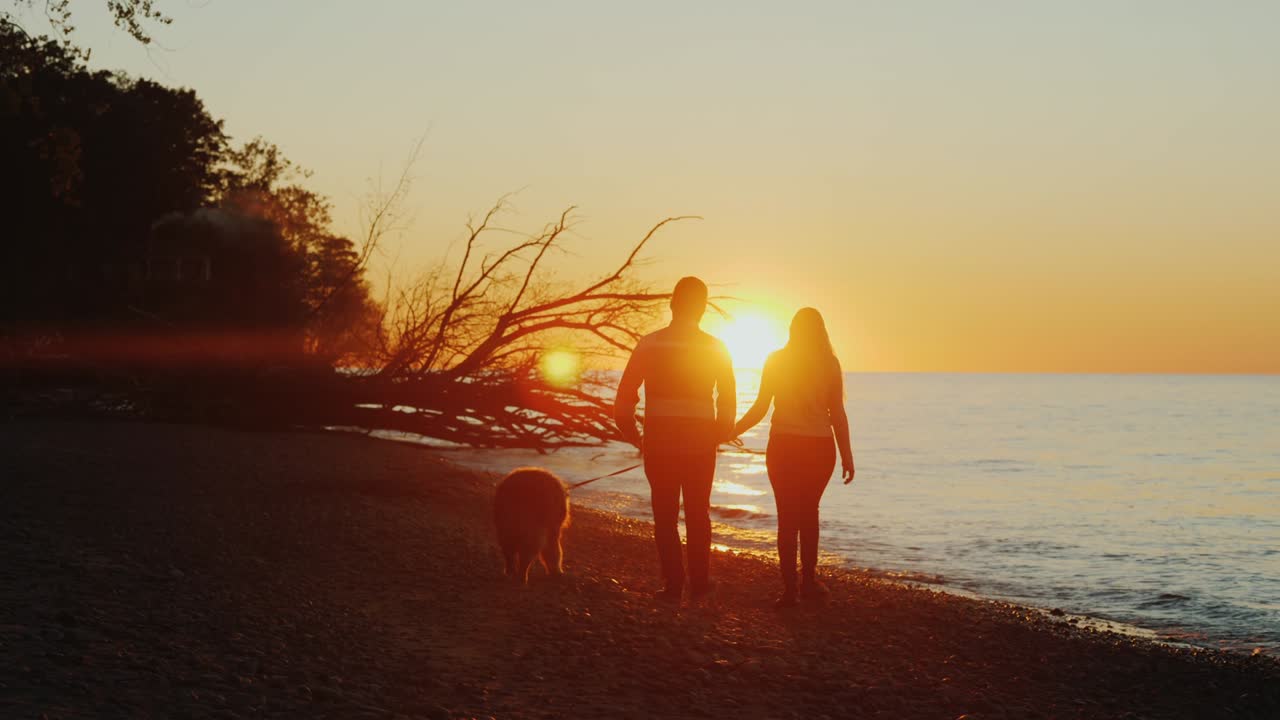 다민족 부부가 해가 지는 동안 바다 근처에서 개와 함께 산책하고 있습니다.