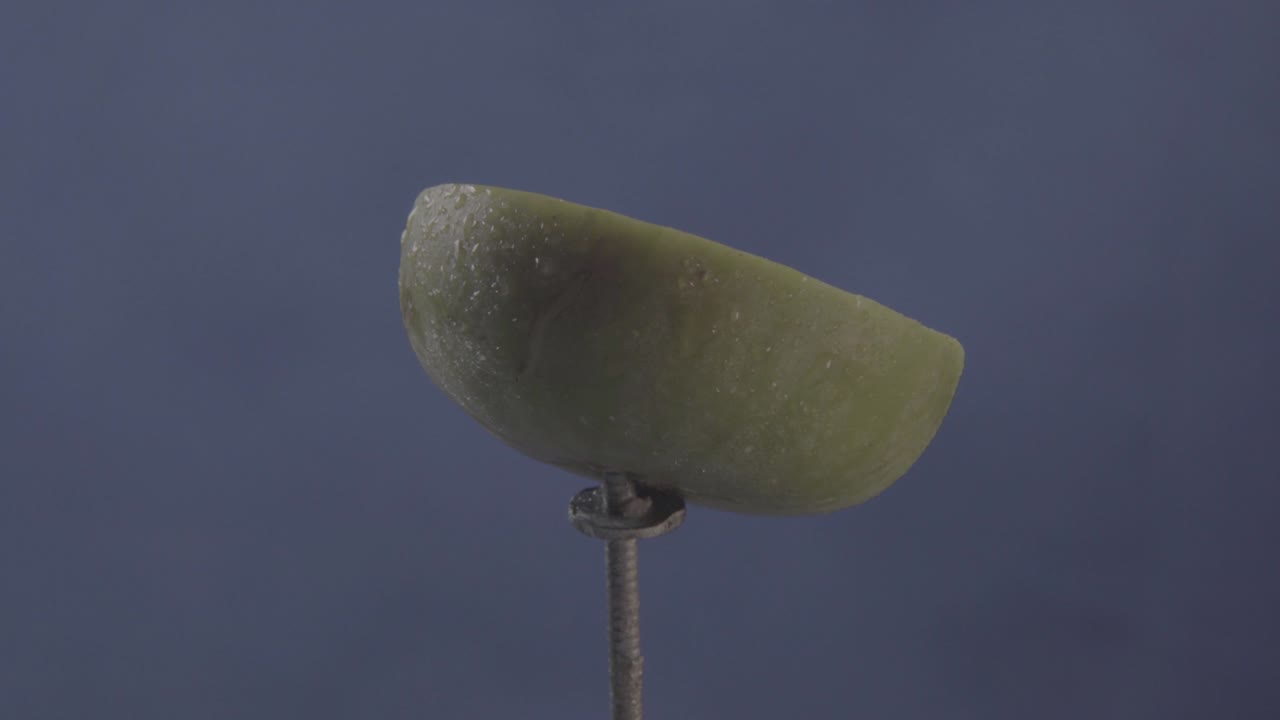 크로마 키를 위해 파란 화면에 루프와 함께 회전하는 무화과