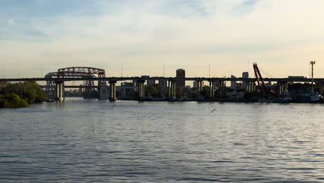 Seagulls-fly-over-the-water-at-La-Plata-highway-with-passing-cars-in-the-evening-at-sunset-in-Buenos-Aires