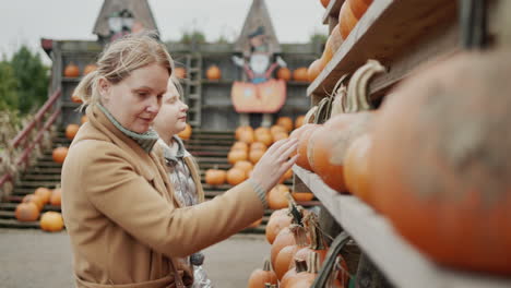 mom and daughter buy pumpkins at the halloween and thanksgiving fair