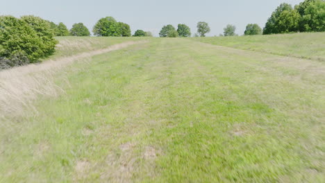 volando sobre el campo verde con el objetivo de disparo