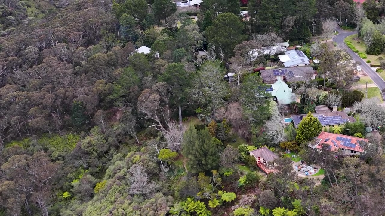 Korkealta otettu dronikuva kodeista eukalyptuspuuston keskellä Wentworth Fallsissa, Australiassa