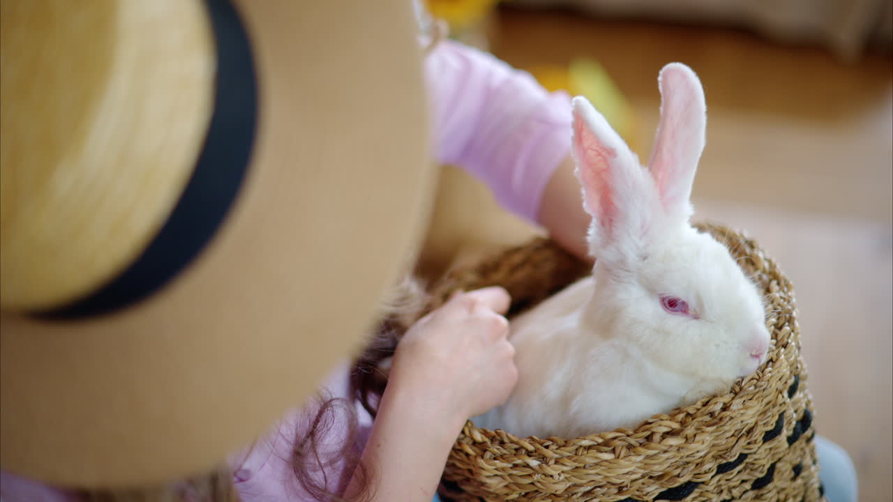 Woman petting a white bunny in the barn near square hay bales, in daylight