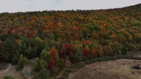 Aerial-View-Of-Colorful-Forest-During-Autumn---Drone-Shot