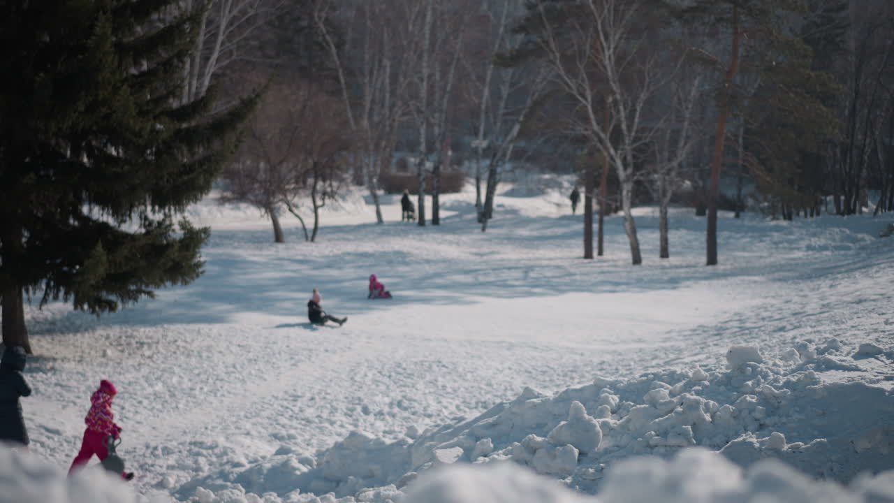 Snow park scene with kids in winter coats and beanies sliding and tumbling on hillside while adults supervise from path under street lamps, frosty trees and bright sun