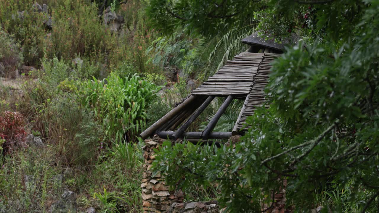 숲 한가운데에 있는 낡은 목조 지붕 구조