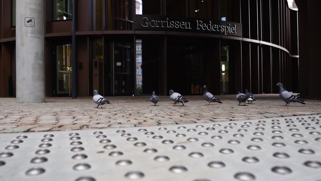 계단 위의 비둘기와 현대적인 사무실 블록 포장, 낮은 각도 샷