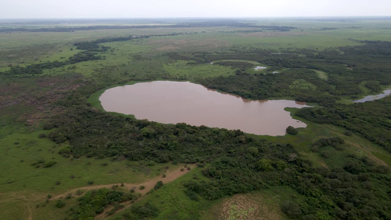 Yacuma river laguna Pampas Bolivian Amazon nature humid wetland fauna, aerial view South America