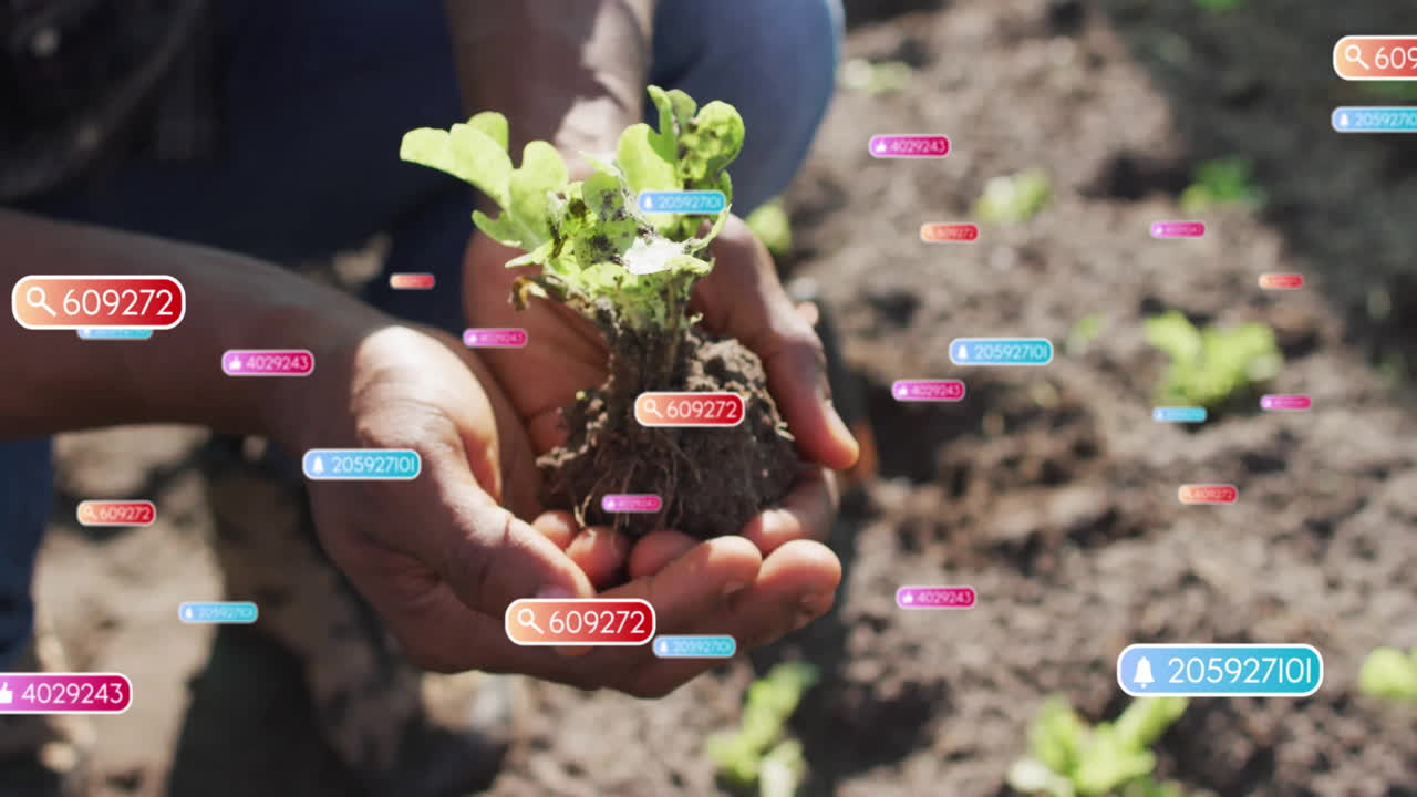 Gardener kneeling and planting seedling in garden bed, showing farming data tags tracking growth