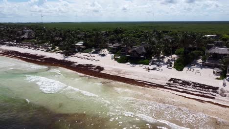 hotéis de luxo em tulum méxico com costa de praia coberta de sargassum em dia ensolarado, aéreo