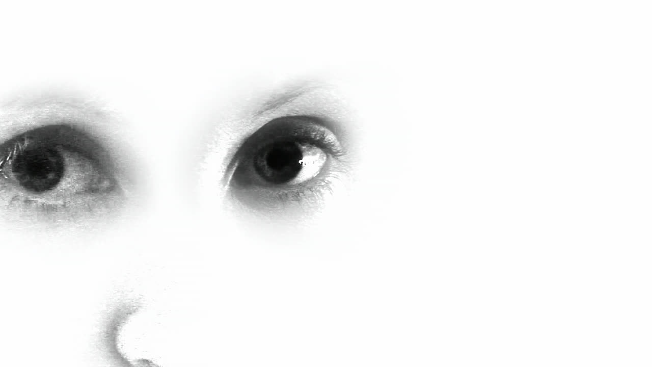 인간 눈의 재고 영상