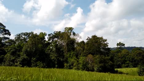 Paisaje-En-El-Parque-Nacional-De-Khao-Yai,-árboles-Y-Montañas-Con-Grandes-Nubes-Esponjosas-Que-Proyectan-Sombras