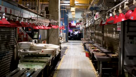late at night, closed shops at a hong kong wet market, china, capturing the quiet atmosphere where fresh produce and seafood are sold daily.