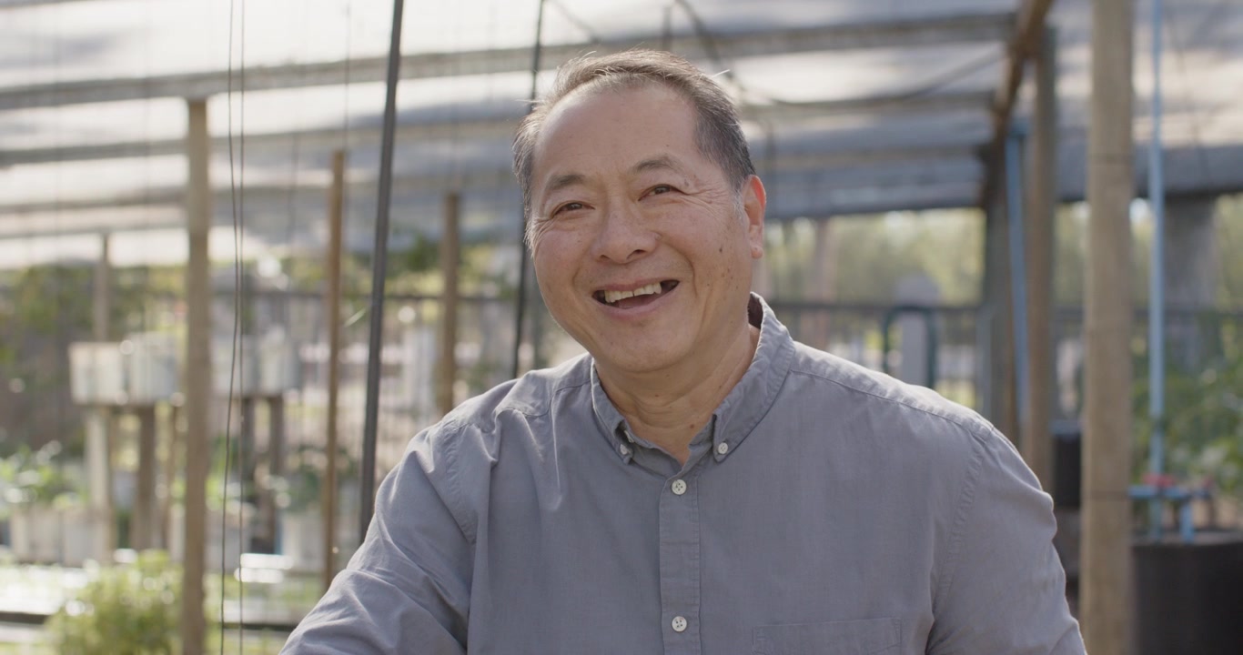 穿着灰色衬衫的年长亚洲男子在苗圃里注意到生长情况，检查一盘幼苗并检查根部。