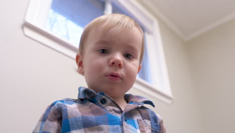 inquisitive baby explores the camera