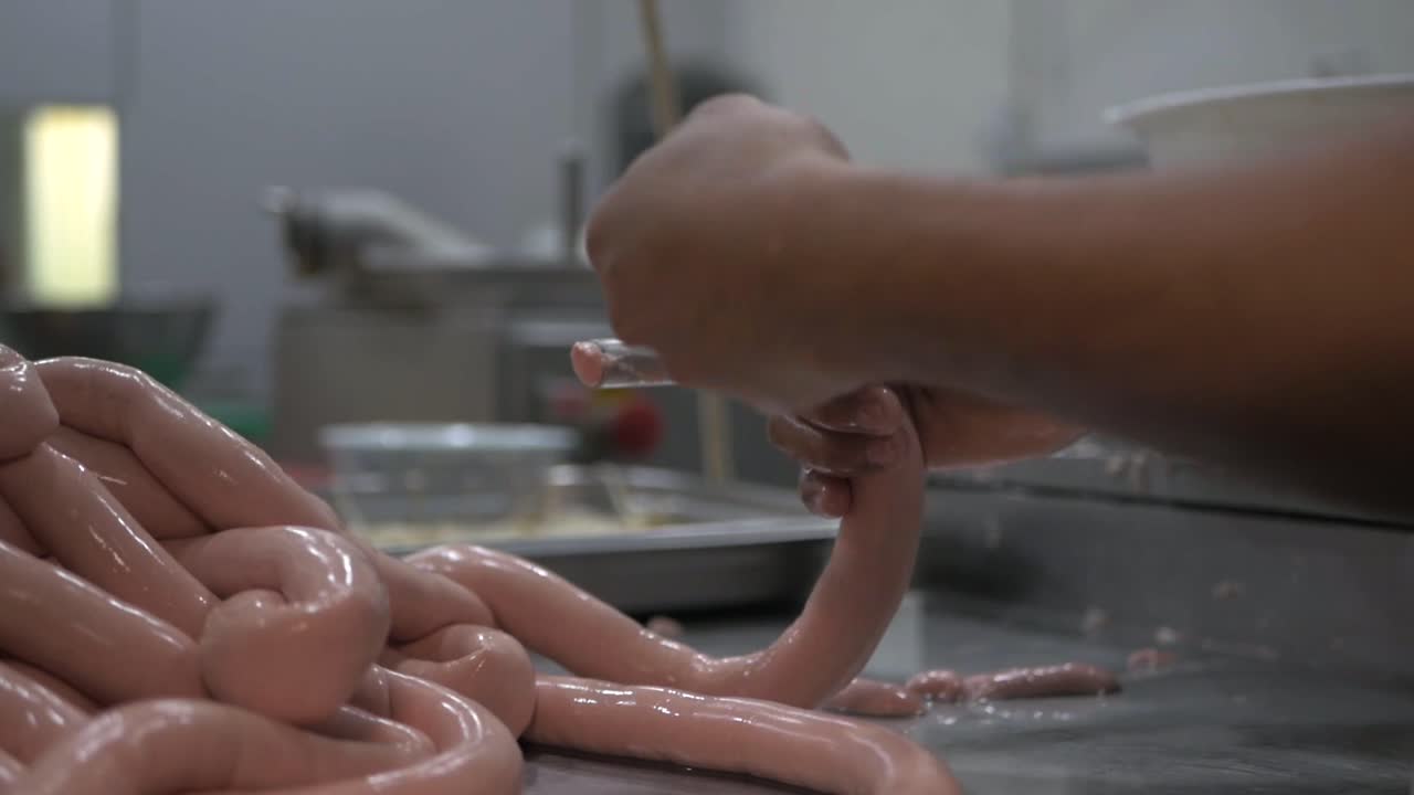 Sausages Meat Process Factory Production Handmade Smoked Boiled Wrap Mincemeat Spice