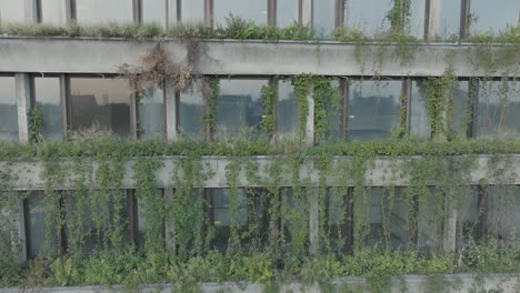 avión no tripulado disparado cracovia polonia abandonada estructura brutalista soviética hala foro al amanecer