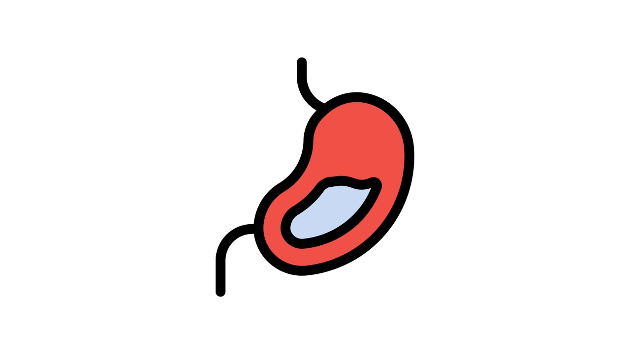 Animated Icon of Human Stomach with Digestion Fluid