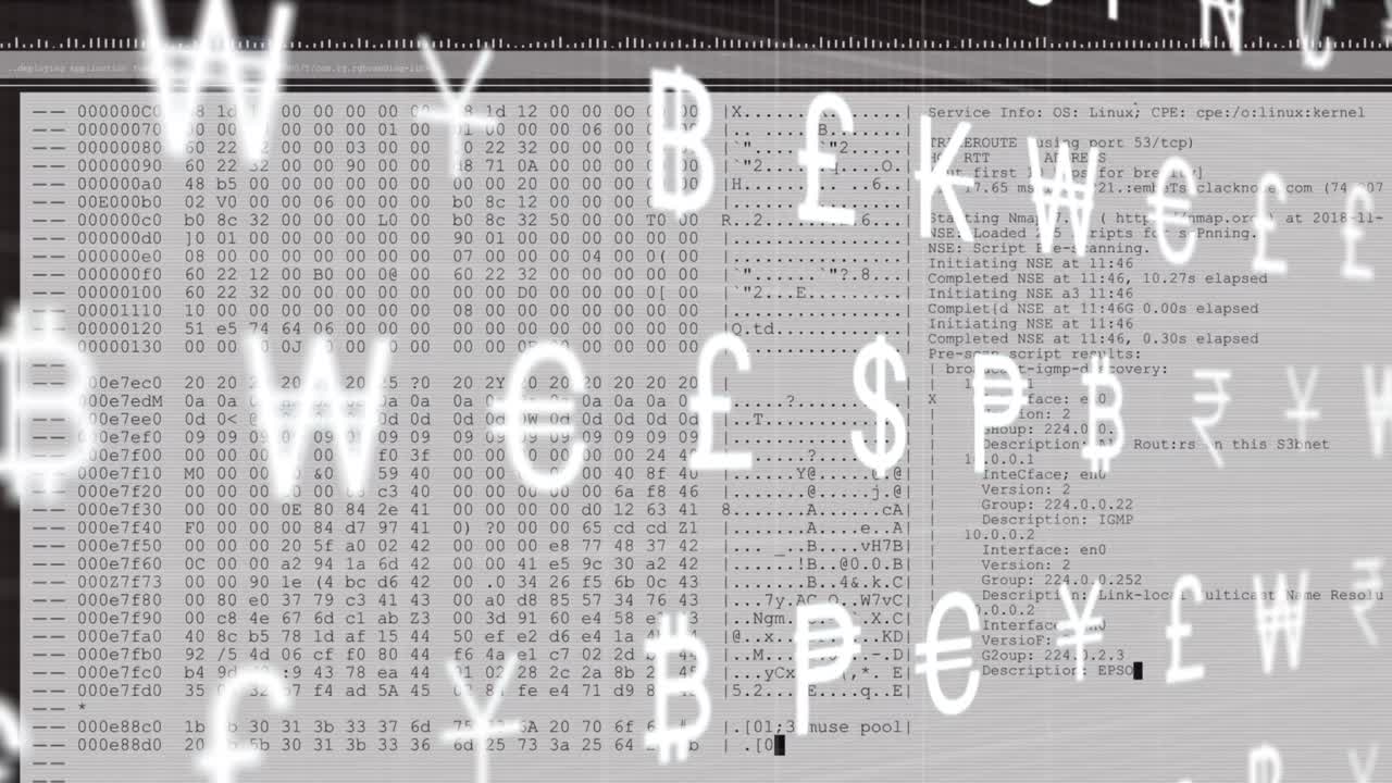 다중 통화 기호의 애니메이션은 백색 배경에 데이터 처리를 통해 이동합니다.