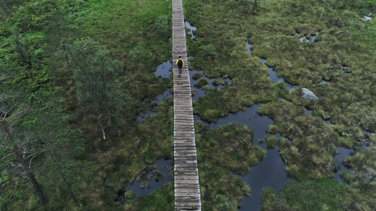 Scenic wetlands trail wooden boardwalk hike towards famous Preikestolen Norway