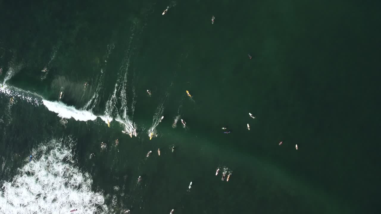 Static bird's eye view above surfers at Pantai Batu Bolong Beach Canggu Bali Indonesia