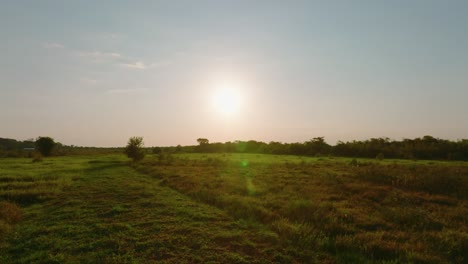 Amanecer-Sobre-Un-Sereno-Paisaje-De-Arauca-Con-Luz-Cálida-Adornando-Campos-Verdes