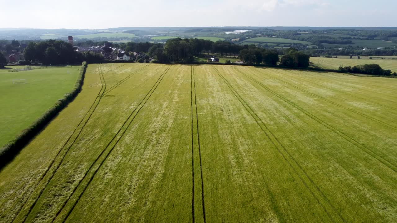 4K footage flying over a barley field in Kent countryside