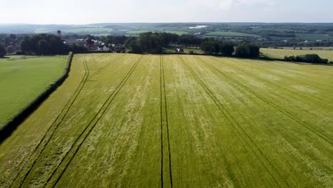 Imágenes-De-4k-Volando-Sobre-Un-Campo-De-Cebada-En-El-Campo-De-Kent