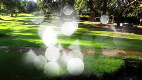 in park, sunlight through trees creating bokeh light effects in foreground