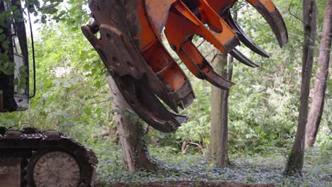 deforestation and ecological devastation - forest harvesting machine - close up