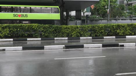 rainy day in singapore: sg bus on wet road