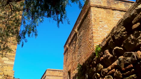 upward view of stone walls and trees at the gibralfaro fortress in málaga, spain, under a bright blue sky, blending nature and history in a mediterranean setting