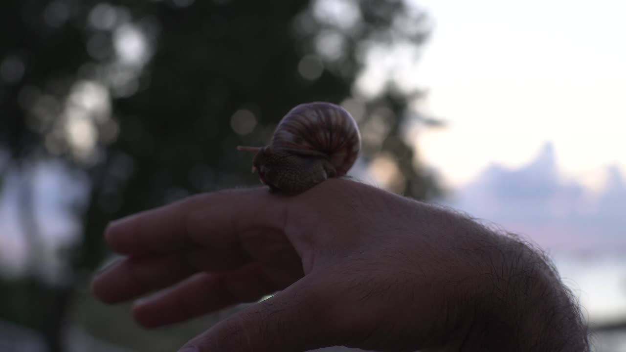 손에 있는 달이