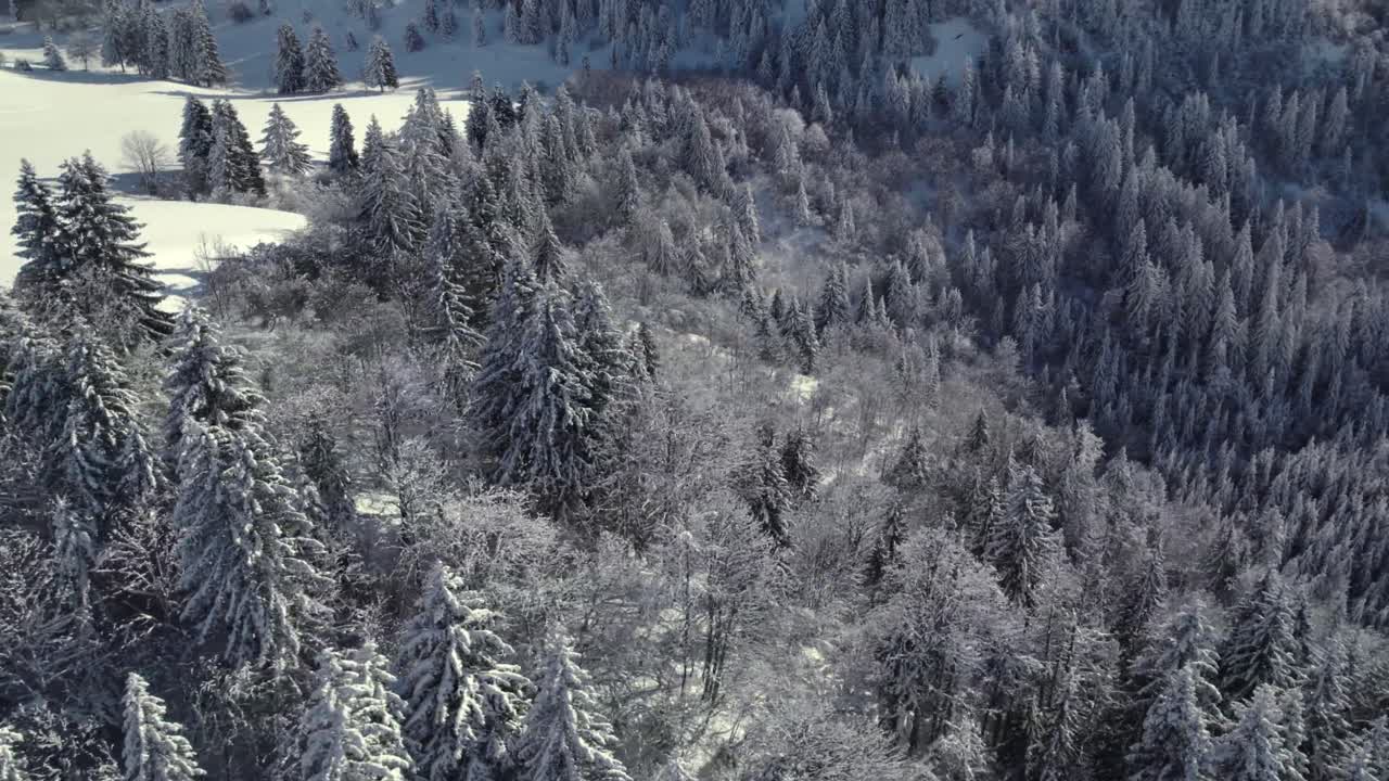 дронный снимок французских альп, гор, деревьев и горнолыжных трасс