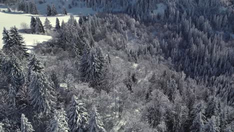 A-drone-shot-of-the-French-alps,-mountains,-trees-and-skiing-lanes