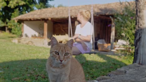 Cute-ginger-cat-sits-on-wall-as-woman-enjoys-relaxing-on-garden-swing