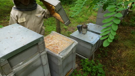 Der-Imker-öffnet-Den-Bienenstock-Und-Räuchert-Die-Bienen