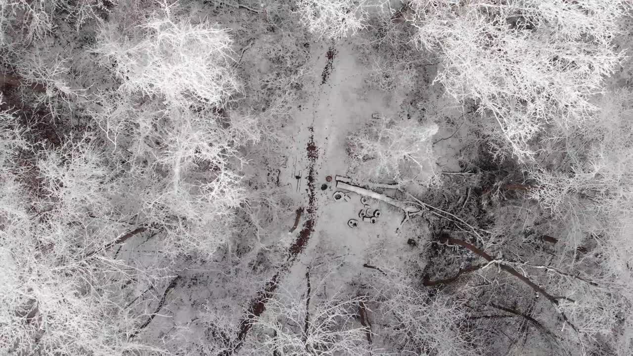 눈 덮인 숲의 항공 영상