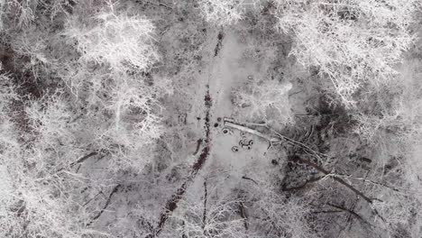 aerial footage over snowy forest