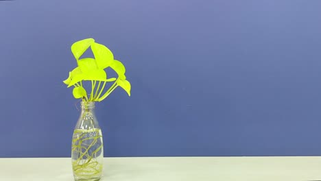 vibrant green money plant with visible roots in transparent glass bottle against stylish blue background. indoor decor for home, office, wellness, eco-friendly and botanical themes.