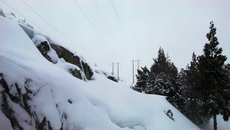 Power-lines-sit-in-between-a-group-of-swaying-trees-and-snow-covered-rocks