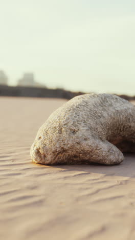 a manatee sculpture on a beach