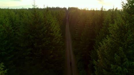 Luftdrohnenansicht-Eines-Mannes,-Der-Mitten-In-Einem-Wald-Auf-Einen-Weg-Geht