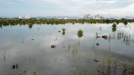 Manglar-Con-Ciudad-En-Desarrollo-En-Batu-Kawan,-Penang,-Malasia.