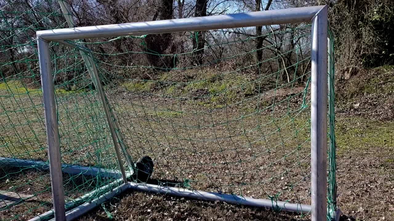 Panning up on small soccer goal with tree shrubs as backdrop