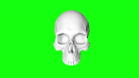 8 animations human skull cranium green screen