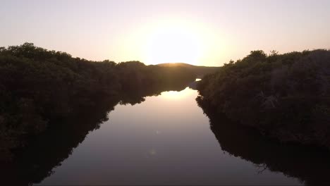 aerial - floating above a beautiful riparian stream